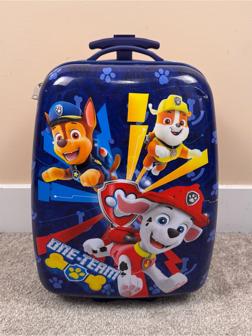 Bioworld Paw Patrol Travel Roller Suitcase Carry On Size